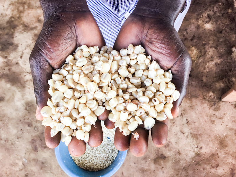 Working together helps farmers in Oyam District change their fortune